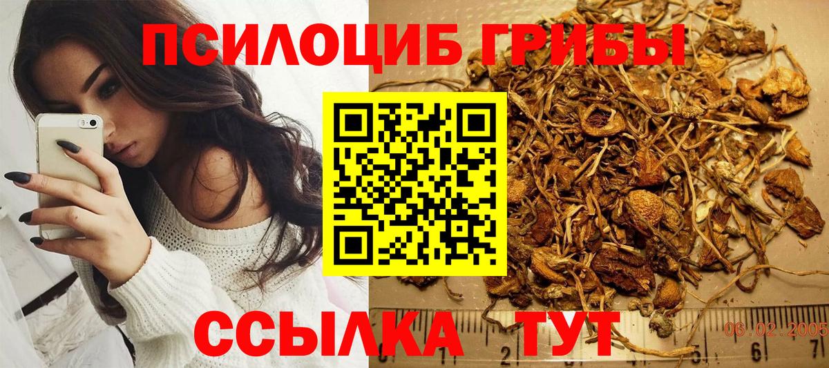 Псилоцибиновые грибы Psilocybe  где купить наркоту  Кушва  Вход с VPN 