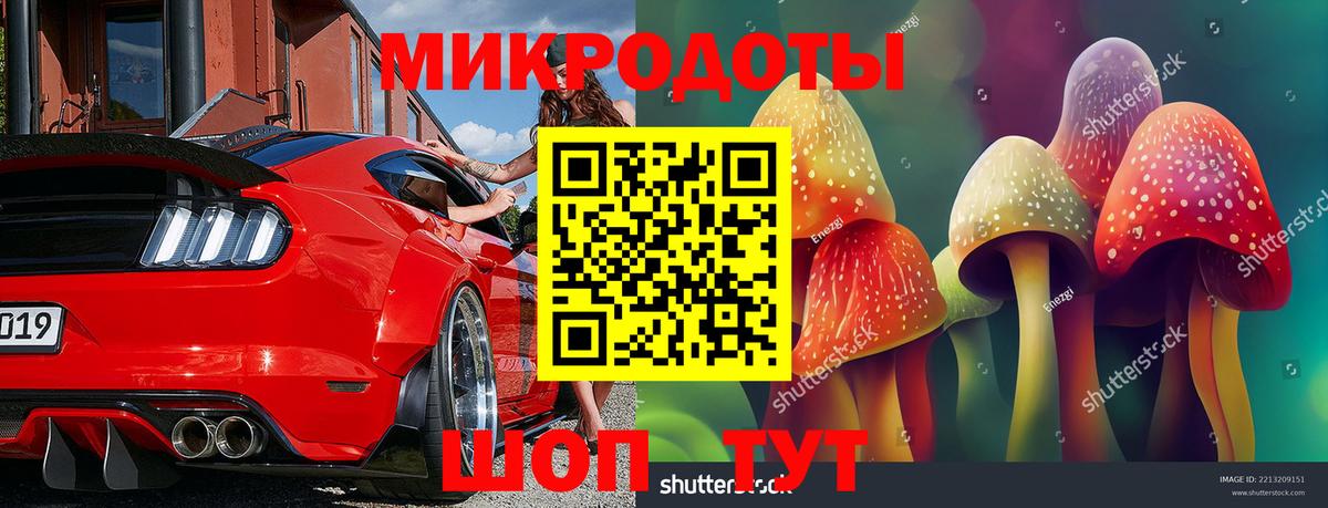 Псилоцибиновые грибы MAGIC MUSHROOMS Кушва
